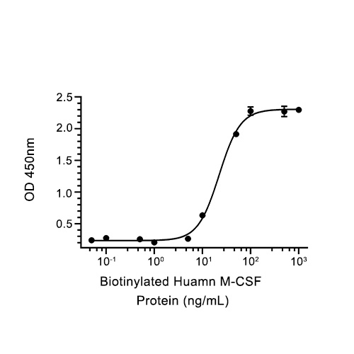 CSF1R蛋白, Human (498a.a, HEK293, His)