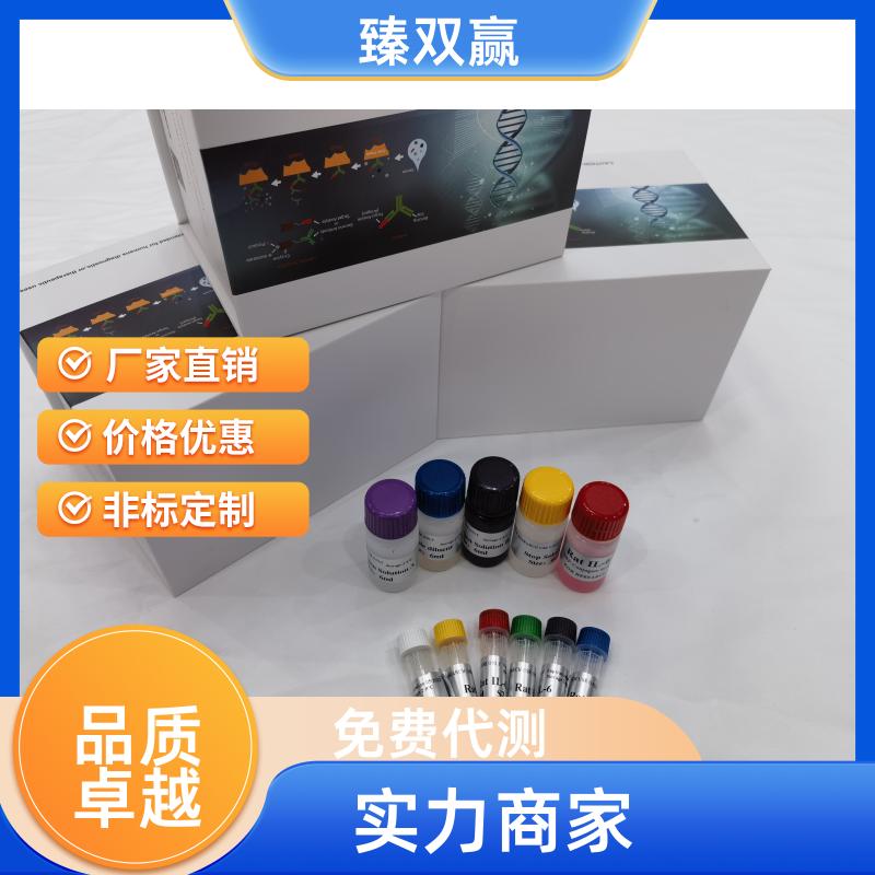 人Smad同源物7(Smad7)ELISA试剂盒