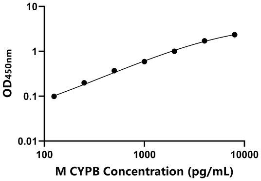 CYPB ELISA KIT / 小鼠亲环素B ELISA试剂盒