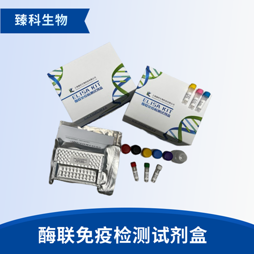 人Ⅸ型胶原蛋白(Ⅸ-C）检测试剂盒（ELISA法）
