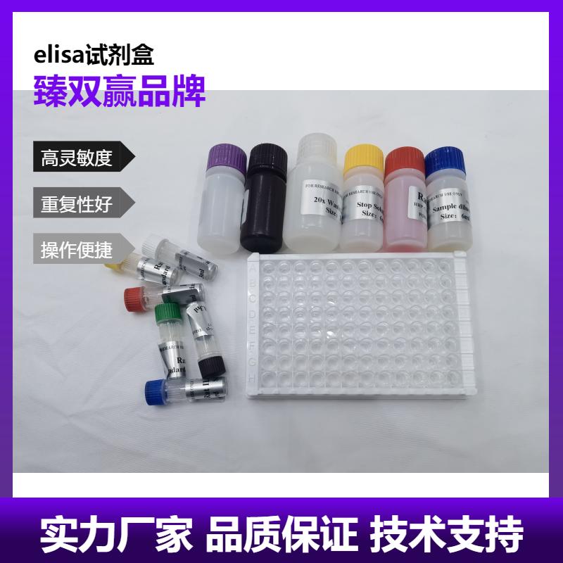 人T4多聚核苷酸激酶(T4PNK)ELISA试剂盒