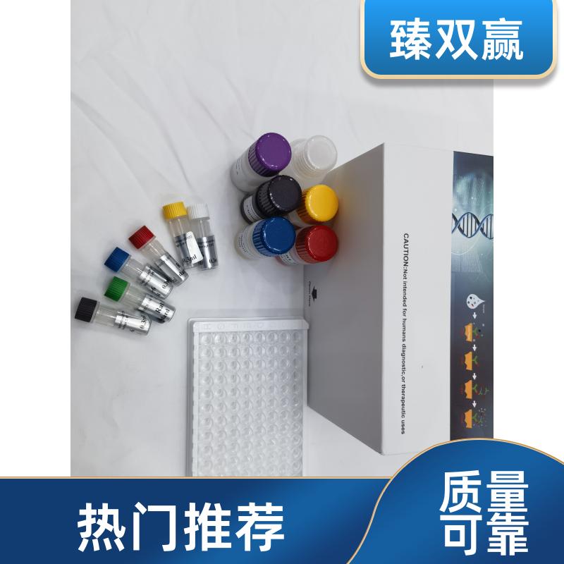 人层粘连蛋白(LN)ELISA试剂盒