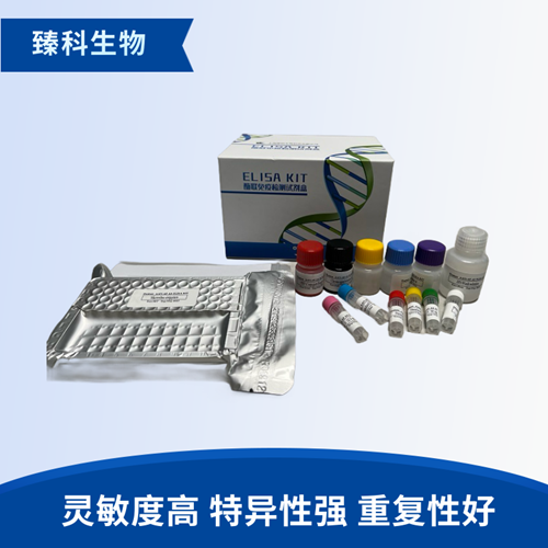 人磷脂酰肌醇抗体IgG(PI IgG）elisa试剂盒