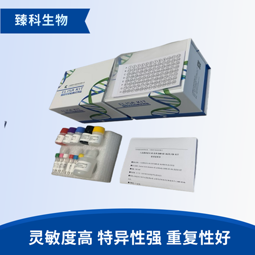 人抗组织转谷氨酰胺酶抗体IgA(tTG-IgA）elisa试剂盒