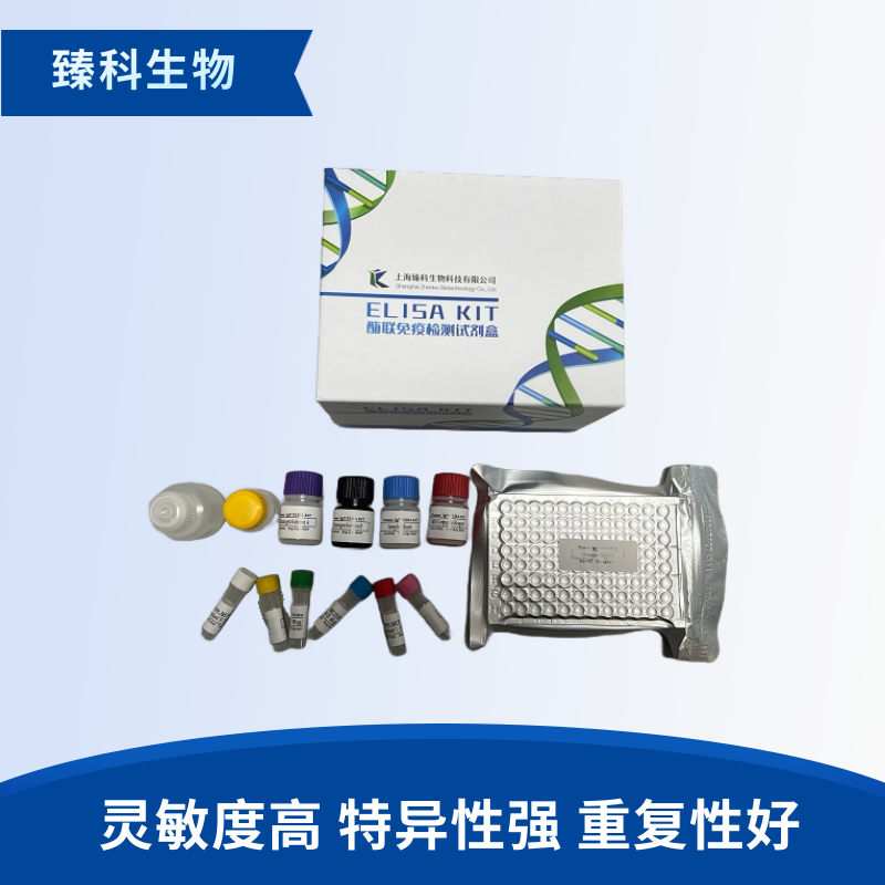 人抗增殖细胞核抗原抗体(PCNA）elisa试剂盒
