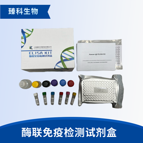 大鼠冠状病毒(CV）试剂盒