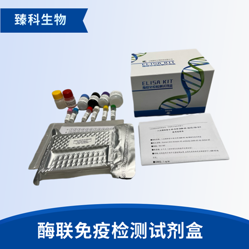 大鼠抗精子抗体(As-Ab）elisa试剂盒