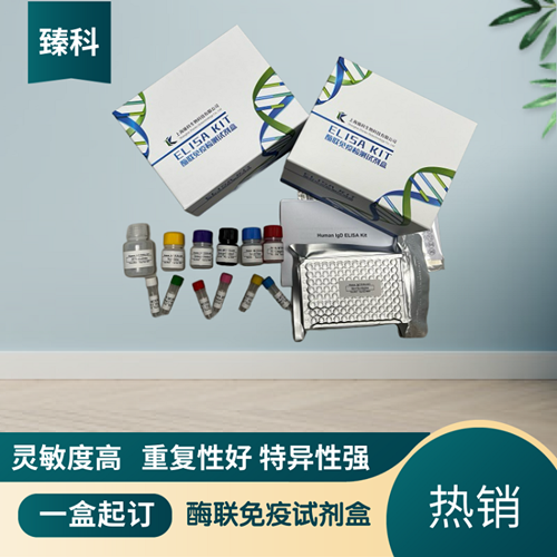 大鼠短链脂肪酸(SCFA）elisa试剂盒