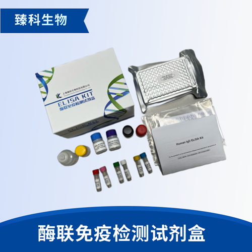 大鼠c－Kit蛋白(c－Kit）elisa试剂盒