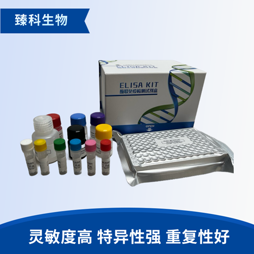 大鼠I型胶原蛋白(ColⅠ）elisa试剂盒