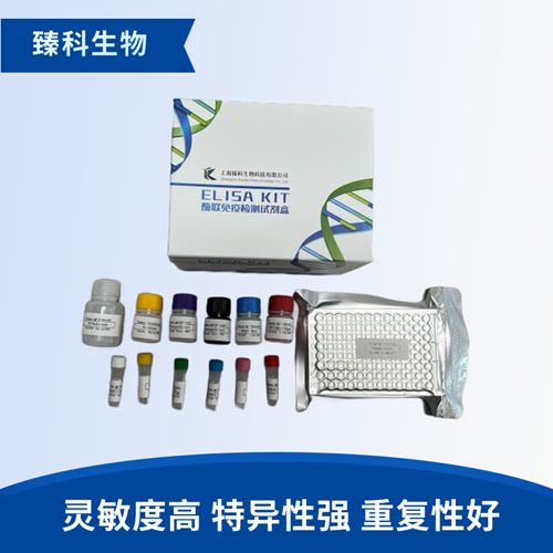 大鼠I型胶原蛋白(ColⅠ）elisa试剂盒