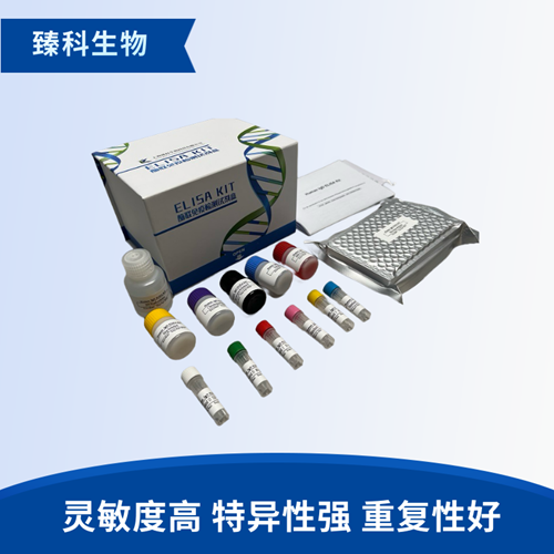 大鼠增殖细胞核抗原抗体(PCNA）elisa试剂盒