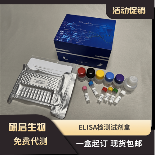 小鼠CC趋化因子受体6(CCR6）ELISA试剂盒