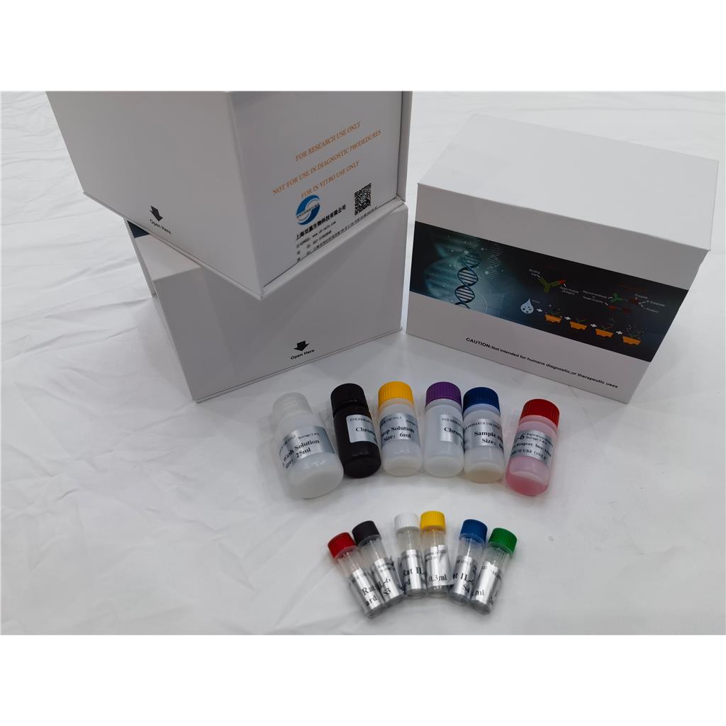人神经生长因子诱导蛋白(VGF)ELISA试剂盒