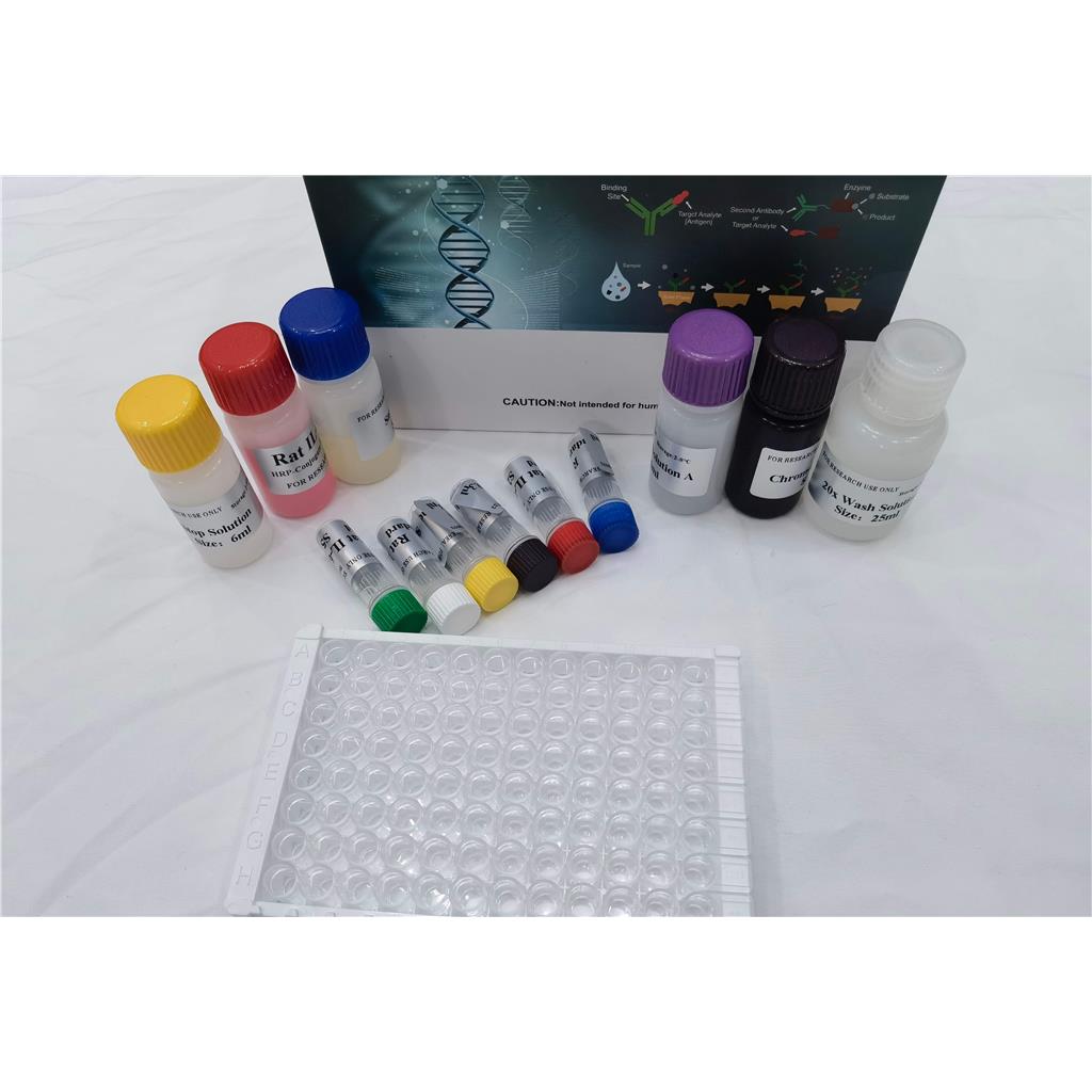 人丙二酸单酰辅酶A(MCA)ELISA试剂盒