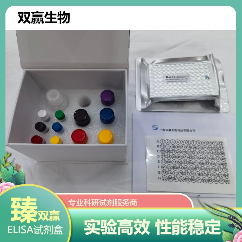 人核因子κB抑制物激酶(IKK)ELISA试剂盒