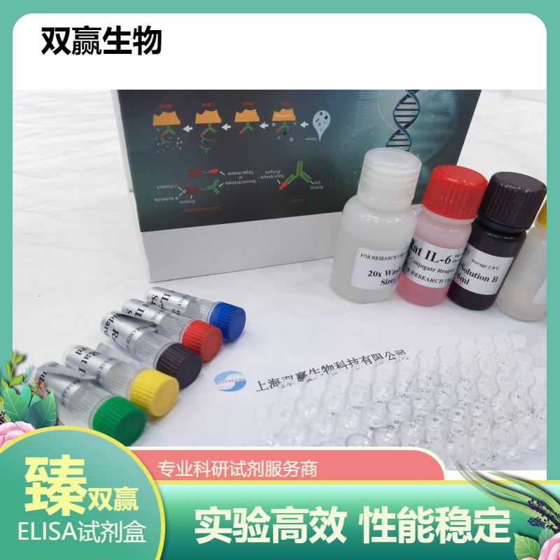 人核因子κB抑制物激酶(IKK)ELISA试剂盒