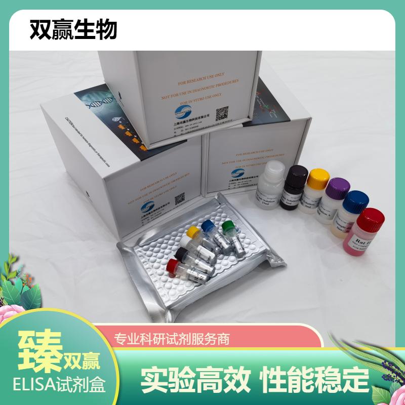 人酪氨酸激酶B(TrkB)ELISA试剂盒