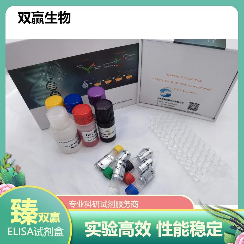 人谷氨酸脱羧酶65抗体(GADA65-Ab)ELISA试剂盒