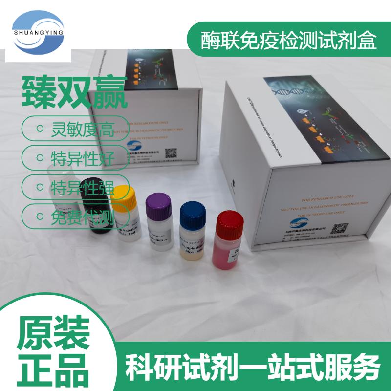 人C-kit蛋白（C-kit)ELISA试剂盒