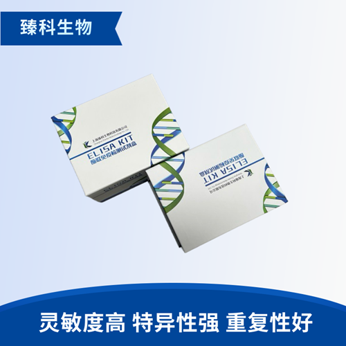 大鼠抗胰岛素受体抗体(AIRA）elisa试剂盒