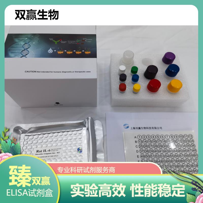 人Derlin1蛋白(DERL1)ELISA试剂盒
