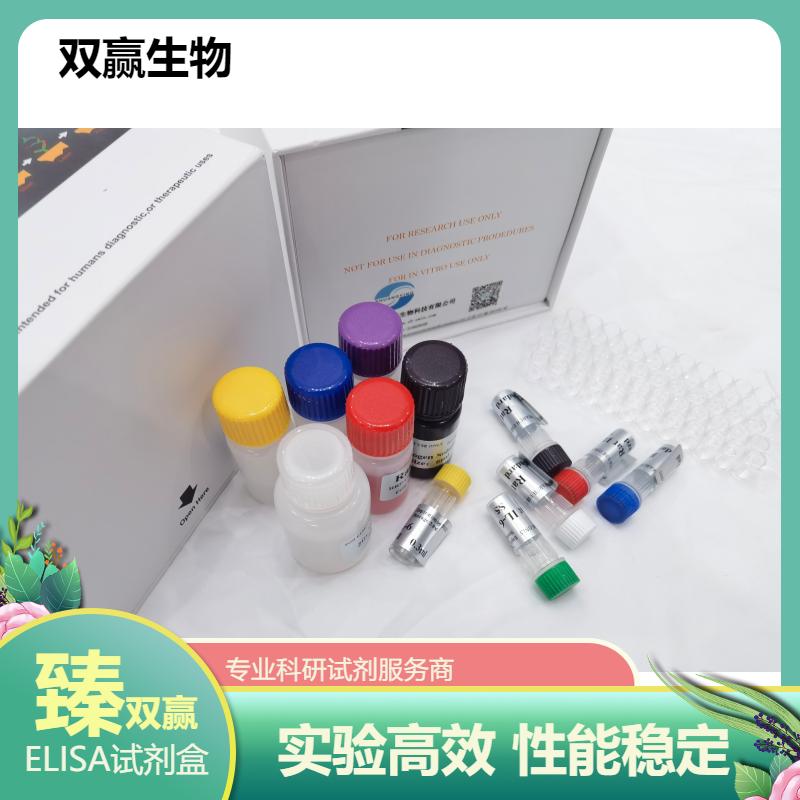 人幽门螺旋杆菌(HP)ELISA试剂盒