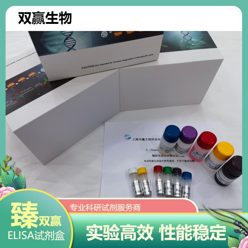 人抗Chitobioside糖抗体(ACCA)ELISA试剂盒