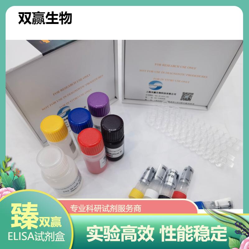 人髓鞘少突胶质细胞糖蛋白(MOG)ELISA试剂盒