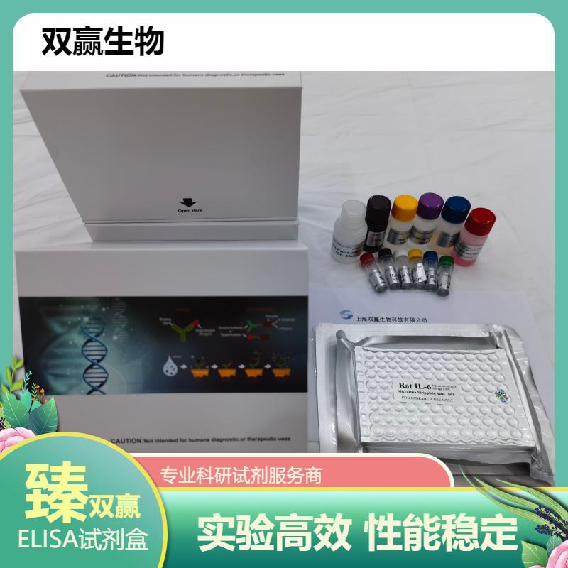 人寡树突胶质细胞糖蛋白抗体(MOG-Ab)ELISA试剂盒