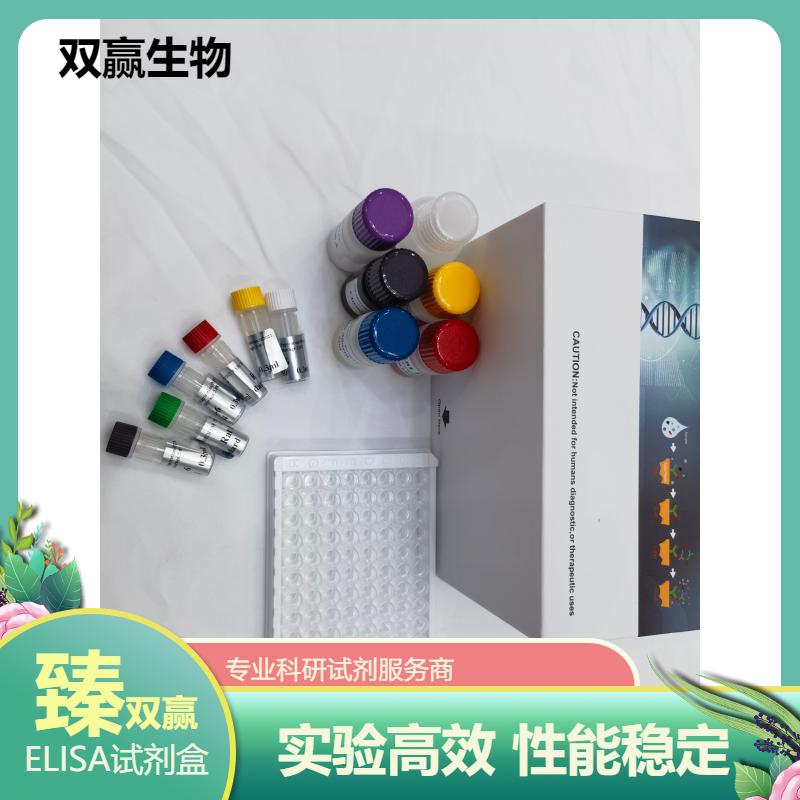 人寡树突胶质细胞糖蛋白抗体(MOG-Ab)ELISA试剂盒