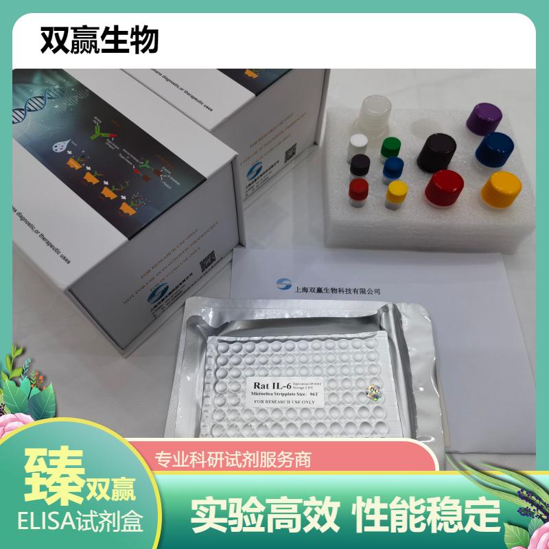 人寡树突胶质细胞糖蛋白抗体(MOG-Ab)ELISA试剂盒