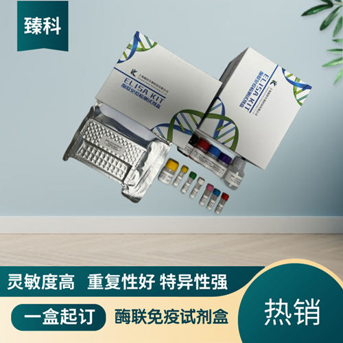 大鼠石胆酸(LCA）ELISA试剂盒