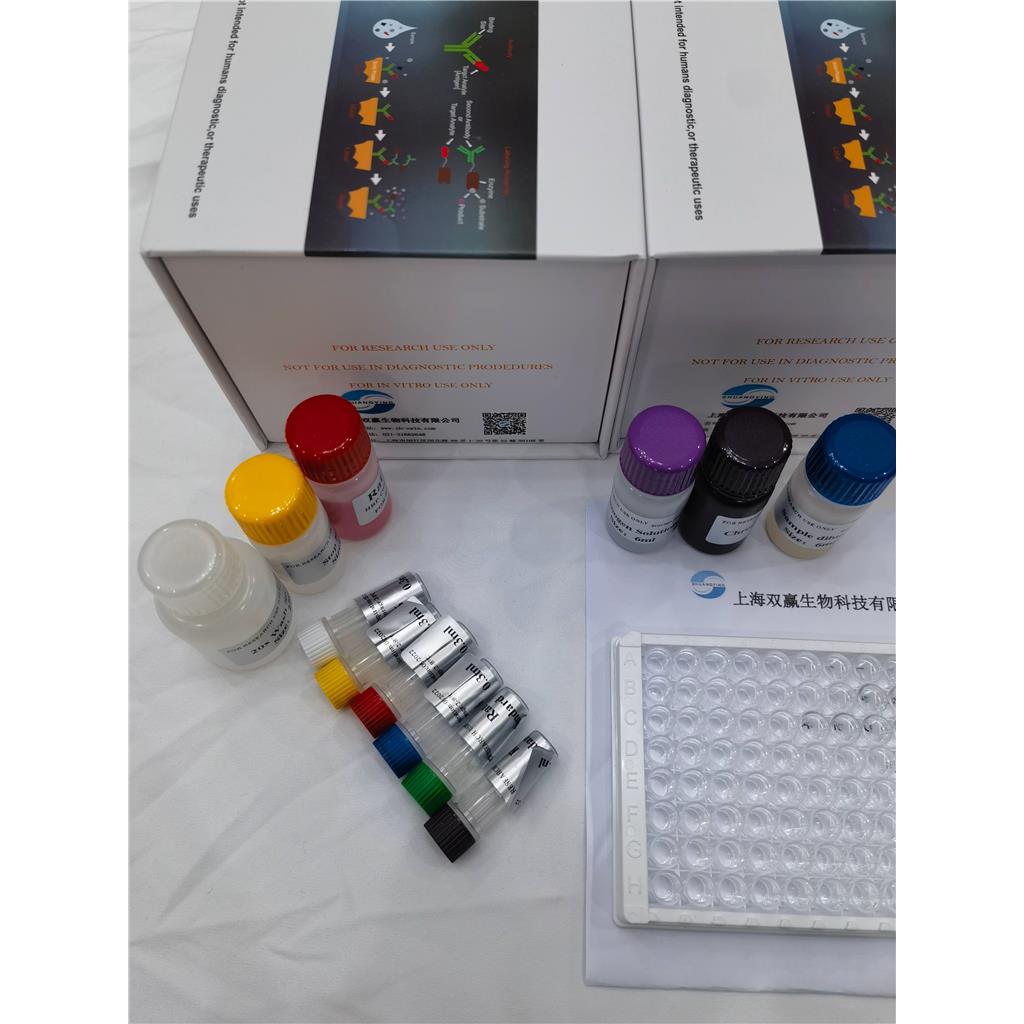 人抗Chitobioside糖抗体(ACCA)ELISA试剂盒