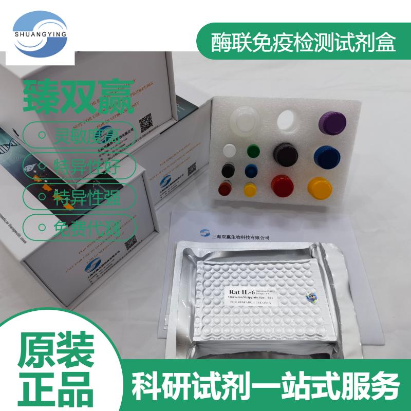 人11β羟基类固醇脱氢酶2(11βHSD2)ELISA试剂盒