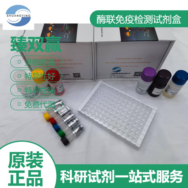 人酪氨酸激酶B(TrkB)ELISA试剂盒