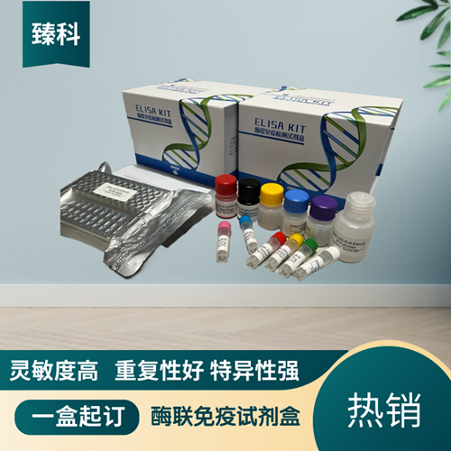 人军团菌抗体IgM(LP Ab-IgM）elisa定量试剂盒