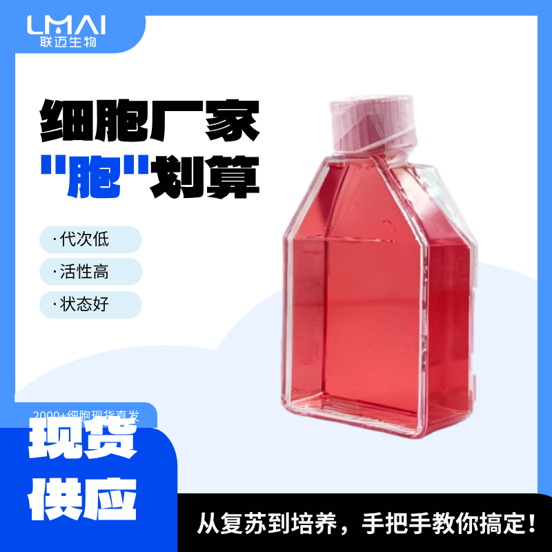 8305C细胞（甲状腺癌细胞未分化STR鉴定正确）LM8C0613