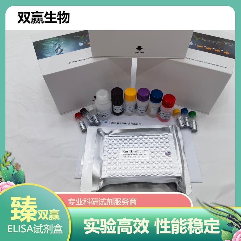 人幽门螺杆菌IgG抗体(HP IgG)ELISA试剂盒