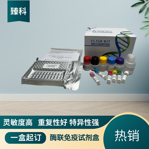 大鼠γ干扰素(IFN-γ）ELISA试剂盒