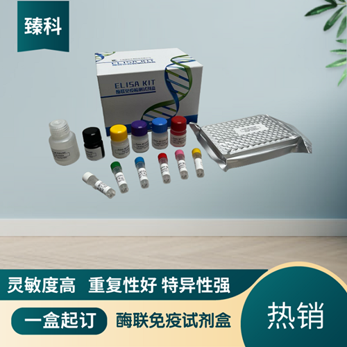 大鼠基质细胞衍生因子1(SDF-1）elisa试剂盒