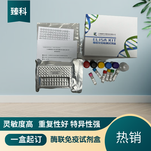 大鼠基质细胞衍生因子1(SDF-1）elisa试剂盒