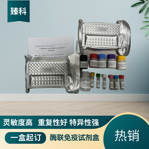 大鼠甲状腺转录因子1(TTF1）elisa试剂盒