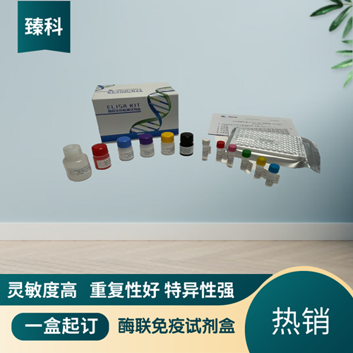 人抗DNA酶B抗体(anti-DNase B Ab）elisa定量试剂盒