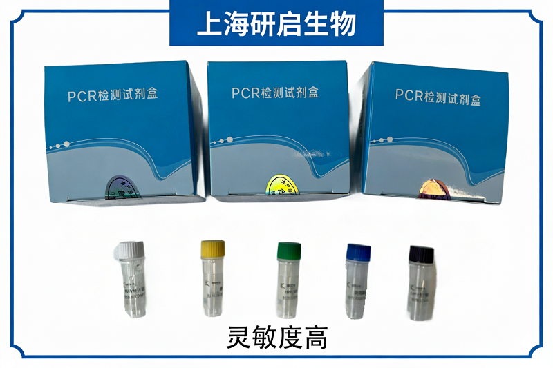 猪瘟病毒/猪蓝耳病毒通用型/口蹄疫病毒通用型/猪圆环病毒2型（CSFV/PRRSV-U/FMDV-U/PCV-2）核酸检测试剂盒(四重荧光-PCR法)