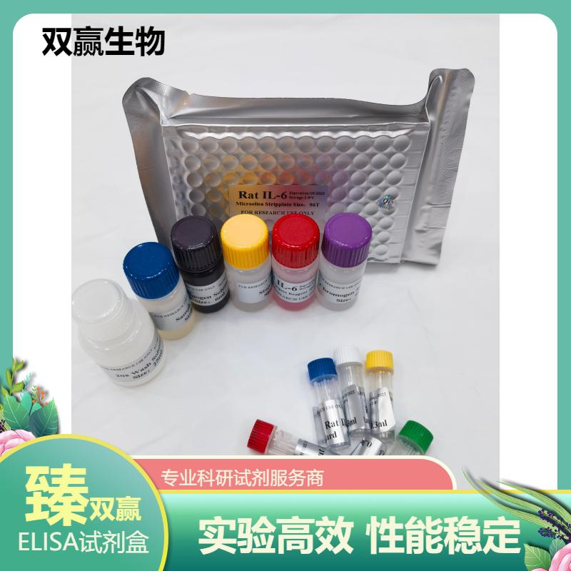 人抗核糖体抗体(rRNP)ELISA试剂盒