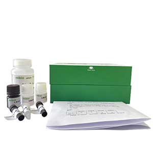 双缩脲法蛋白含量测定试剂盒/分光光度法/48S