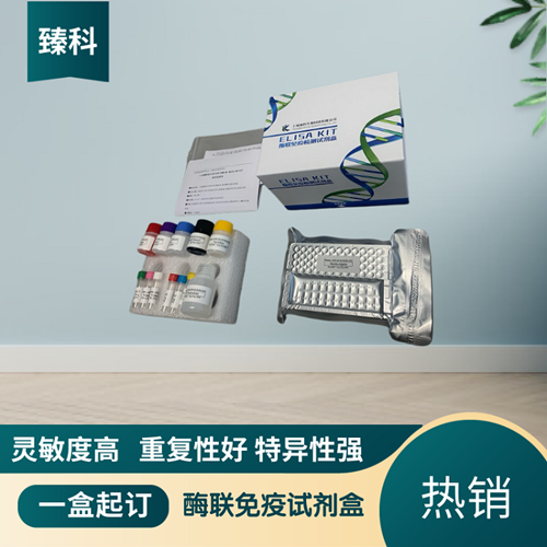 大鼠组织胺(Histamine）ELISA试剂盒