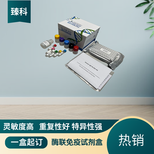 大鼠前列腺素E2(PGE2）ELISA试剂盒