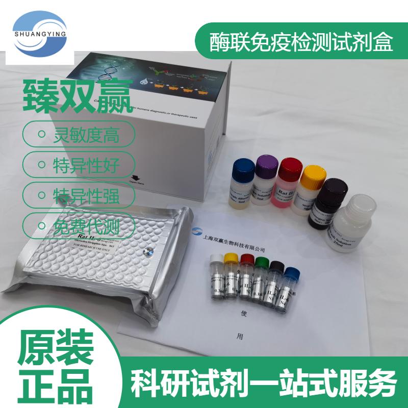 人Smad同源物1(Smad1)ELISA试剂盒